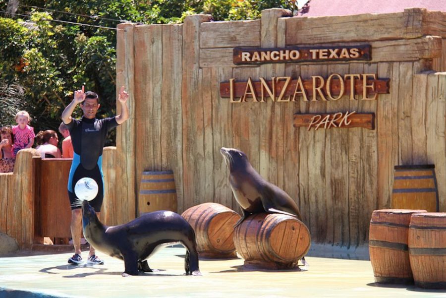 Rancho Texas Lanzarote parque de atracciones en EspaÃ±a